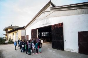 images/gallery/l_come_f/rabbia-scuola-elem.jpg