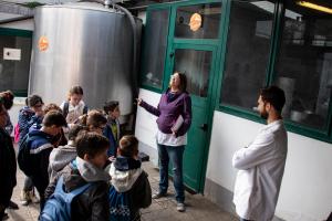 images/gallery/l_come_f/rabbia-scuola-elem_21.jpg